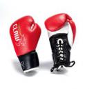 Carbon Claw PFG BX7 Tigris Sondaica Fight Gloves 10oz XL