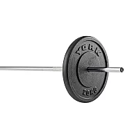 York 1 x 20kg Cast Iron 1 Weight Plate