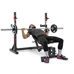 BH Olympic Rack Light Commercial Bench G510